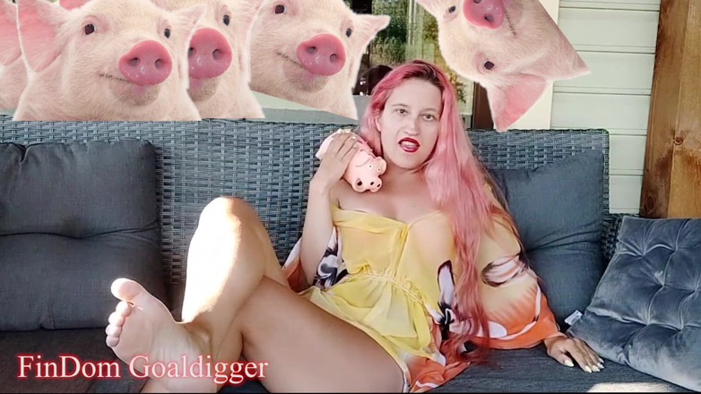 FinDom Goaldigger: Revisão do formulário de solicitação de escravo em dinheiro