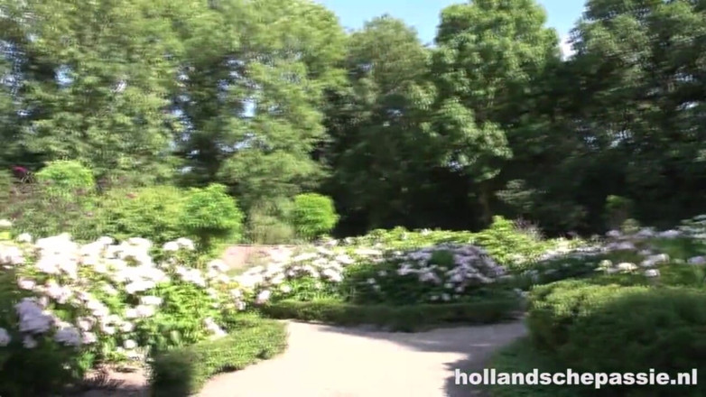 Hollandsche Passie: Esmee трахают публично