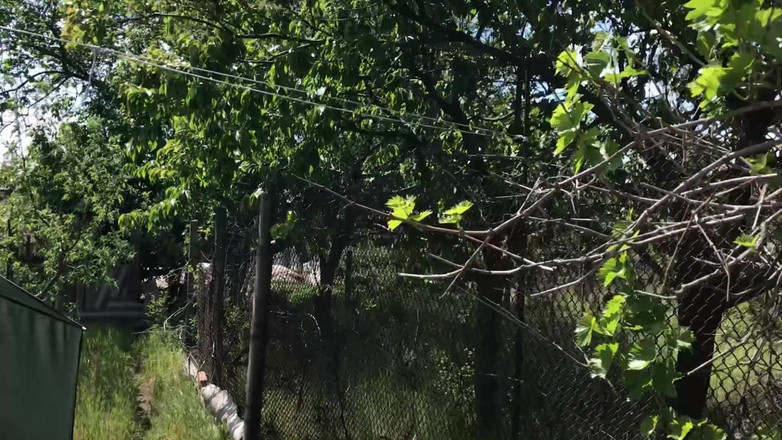 HotPrincessUA: Blandad brottning torr puckel: peeping tom dominerade