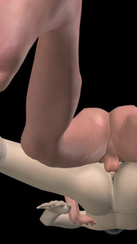 Animated 3D Porn - Asian Man Fucking Beautiful Girl in Missionary Pussy & Ass Creampie