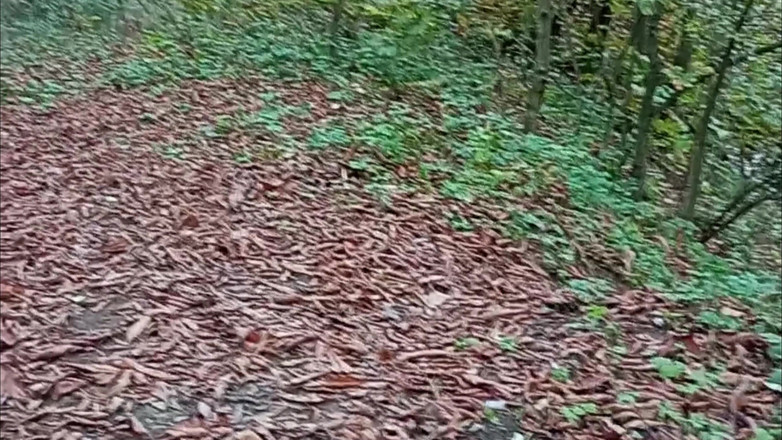 SweetChloe: Outdooor pijpbeurt