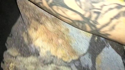 The Rabbit Hole: Budzi się mężulek wanking kutas