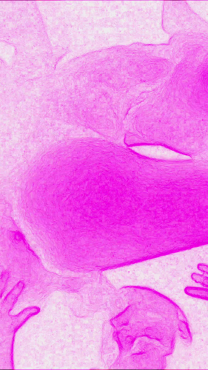 Lily & Theo: Cinsel bir karşılaşma sevinçle ilgili, o kadar yoğun ve vahşidir...