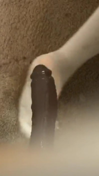 Anal Masturbation Bouncing My Booty on Mounted Didlo
