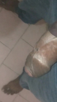 Tamil10inches BBC Session