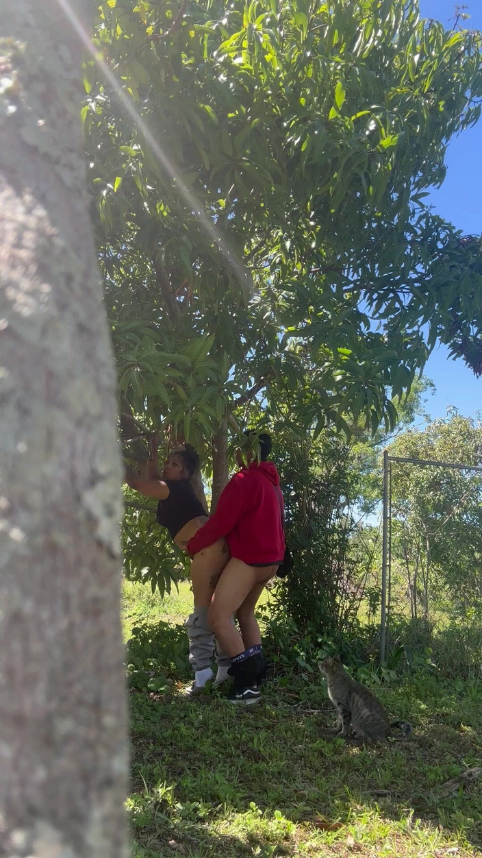 Beemines: Kambodžský šukání v džungli