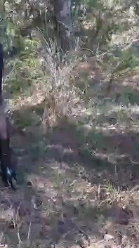 High Heels and Walking in the Woods