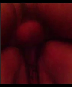 My Young Bull Fuck Like a Bitch