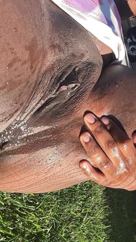 Pancutan perlahan di luar kencing