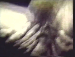 Vintage Usa: Real crazy vintage sex scene!