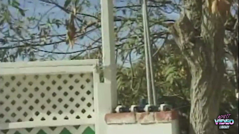 Adult Video Library: The Area by the Outdoor Pool Is Once Again Seeing...