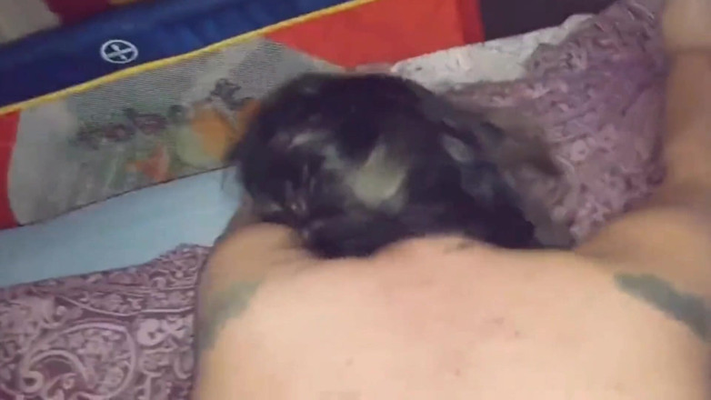 Real homemade BBW BBC porn: WildEnglishBBW BBC Nata4sex martelando minha buceta gozando duro