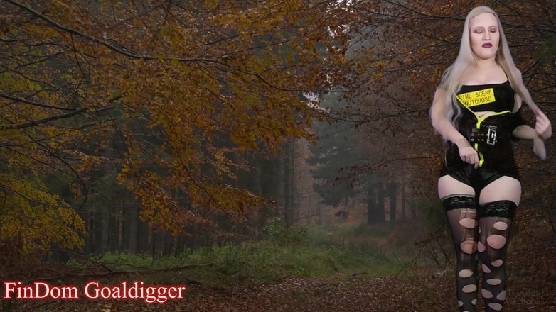 FinDom Goaldigger: Dangerous road