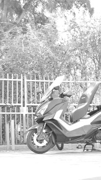 During the Ride, Her Skirt Lifts up and Reveals Her Small Penis
