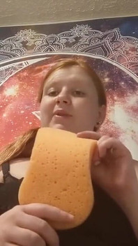 Губка, губка, губка