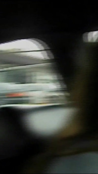 The Taxi Nymphomaniac