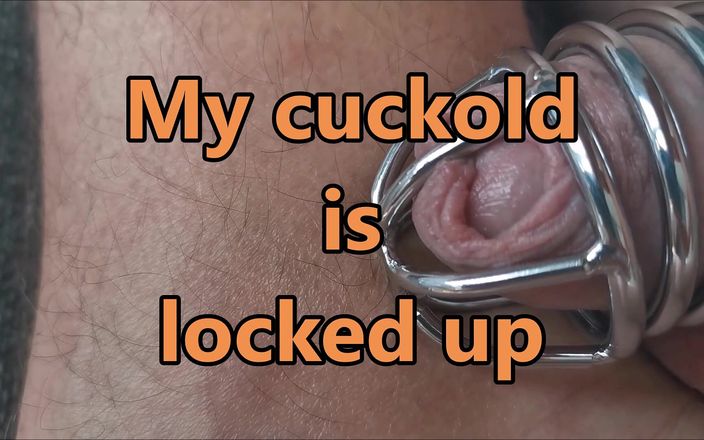 Cuckoby: Cuckold wird eingesperrt und ehefrau fickt mit stier