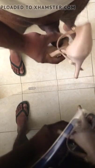 Sexy sereppu: Masturbating with a High Heel Shoe