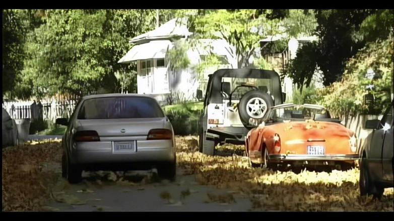 MMV BEST MOVIES AND CLIPS: गीली बिल्ली गर्म गड़बड़ करना चाहती है