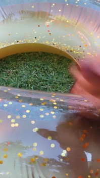 Glitter swimring