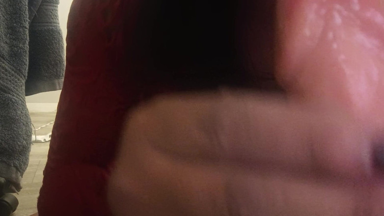 Charlotte studio: Я твій раб