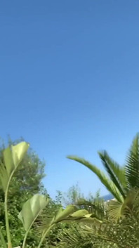 Amateur MILFs Summer Love Part #4 - Amateurs Recorded - Spoken in German