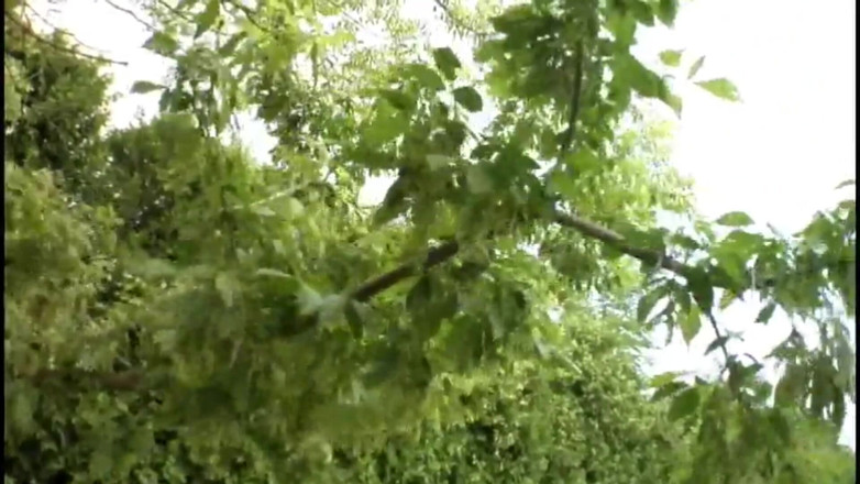 Cruel Media TV: Jenna Jane, amante de creampie