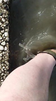 Washing Feet on the Beach in Horumersiel