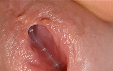 Straight Daddy Club: सुपर डैडी बढ़े हुए छेद सींग के साथ स्पंदन।