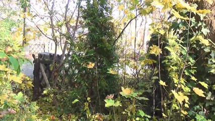 Deutschland Porno X: Отчим трахает свою падчерицу, пока она больше не может этого терпеть