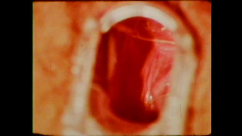 Vintage Megastore Full hd: Vanessa del Rio doktora gider