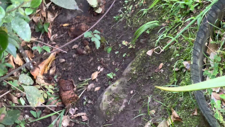 Crisanto999: Üvey Kuzenimin Bunu Yapacağını Hiç Düşünmemiştim