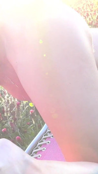 Spring Bloom