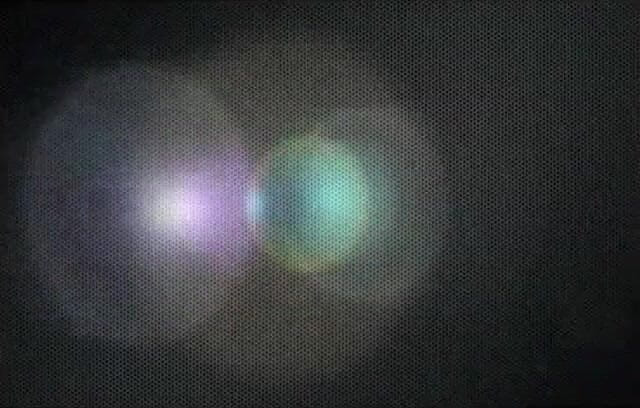 Angelina Castro: ビーチでアンジェリーナカストロ猫のプレイタイム!