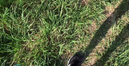 JohannWood: Další perfektní monstrózní výstřik, stejně jako ve slowmo