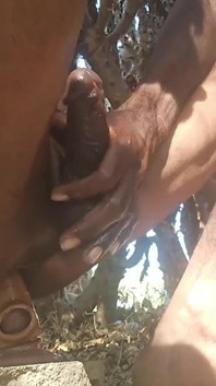 라케시 핫한 애널 하드 애널