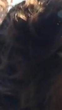 Porn Video: Lyam_alex_mo_01