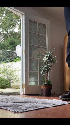 Pearlsage: Bts chcaní na podlahu