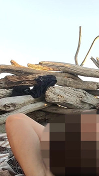 Outdoor Flashing in Nude Beach Sucking and Cumshot of Big Cock in Front of Everyone - Misscreamy