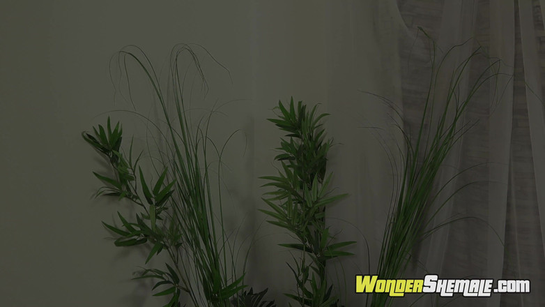 Wonder Shemale: Rock Hard Latina Tgirl mengusap dan meletup air mani di...