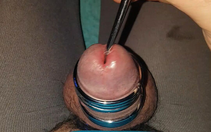 Sandy Perle: सूदन