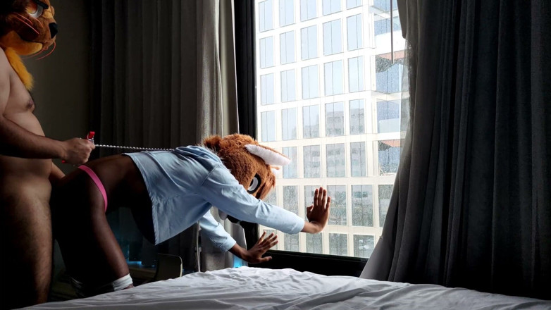 PawgrammerSocks: Bareback Femboy Furry Fursuit Fuck in Front of Window