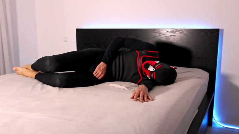 Feti1308: Horny Neoprene Puppy Humping and Teasing Himself