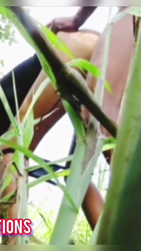 Esbelta chica en la jungla