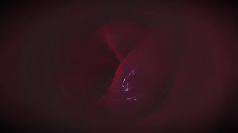 Asdfghjl2025: B021 Gigantess Titty Jebanie Pierdzenia Twarz Siedzący mężczyzna skurczył się...