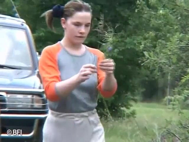 Pissing adventures: Sexy girls get fucked and covered with piss outdoors - DVD