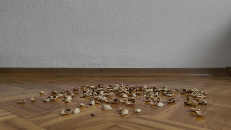 Your QueenXoXo: 130 Kg Vrouw Loopt Op Pistache Schelpen - Crunching Sounds