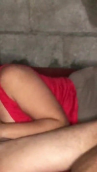 私はエッチしたくなかったので、彼女に私のペニスをしゃぶってもらいました