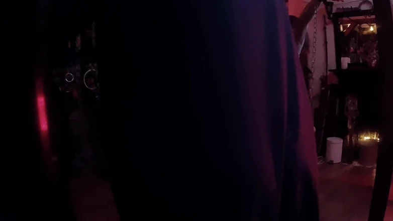 Aaexperinces trans: Part 2 Allegro's Forst Experience with Lanista Bear