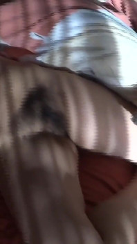 My best friend puts his huge cock in my wife's mouth while she rests and she sucks it